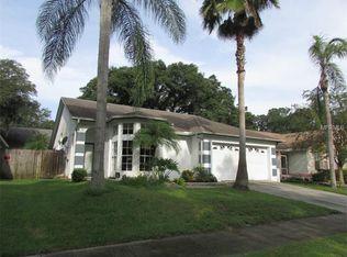 4005 Fontana Pl, Valrico, FL 33596