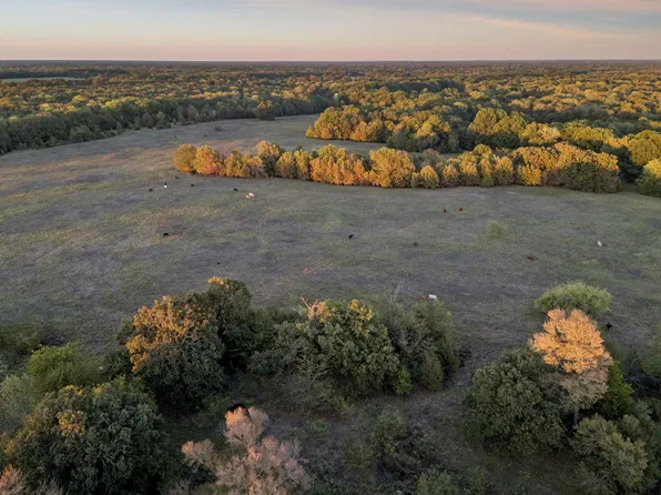Rs County Rd #4310, Pt, TX 75472