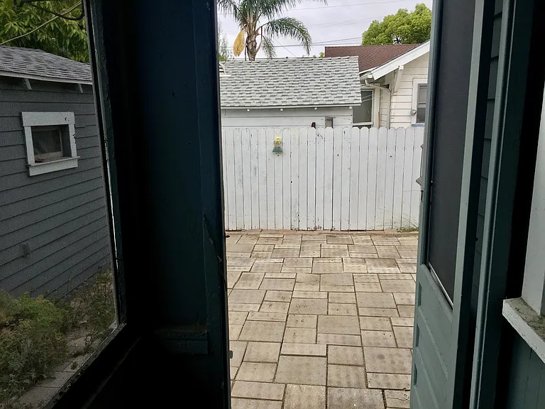 backyard