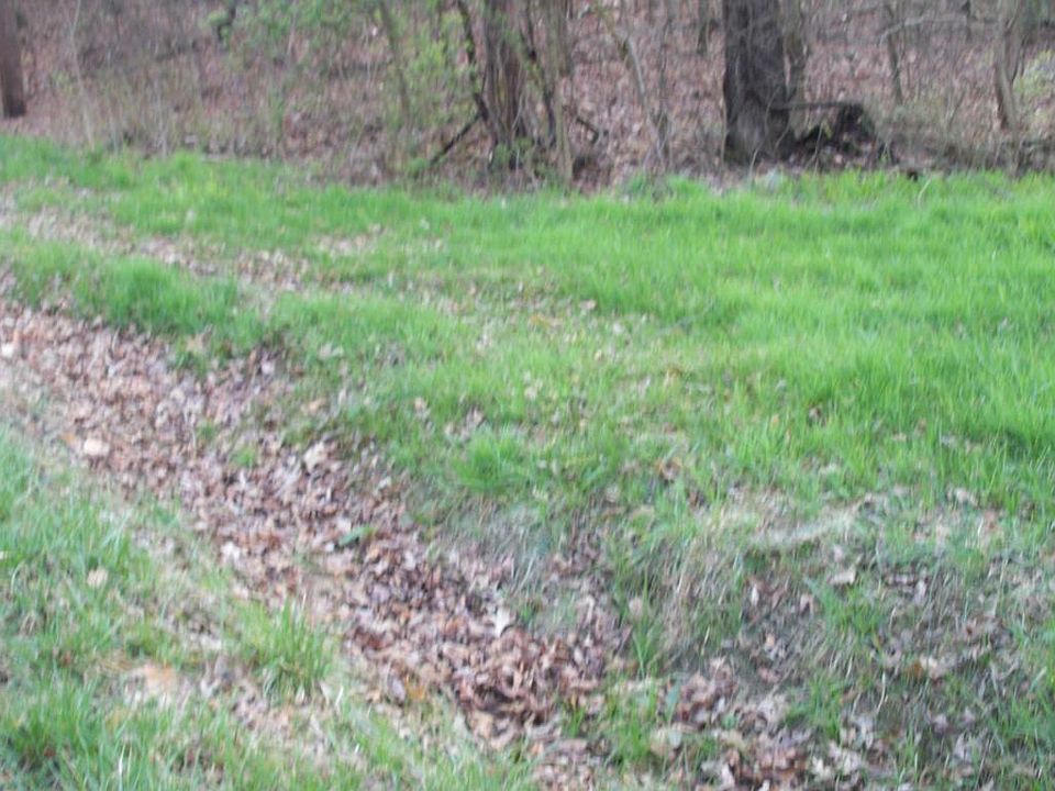 2nd image of 657 S Old Sevierville Pike