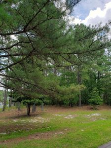 0 Lakeview Ln Lot 11, Wagram, NC, 28396