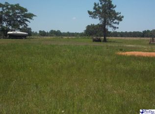 W Jackson St, Lamar, SC 29069