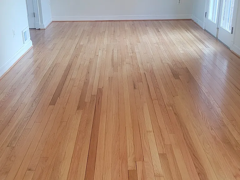 216 E Marshall St — Photo 14