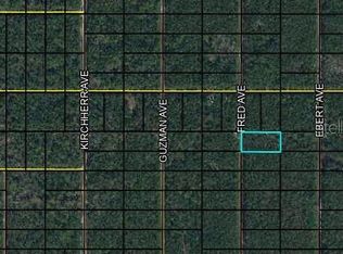X Fred Ave, Hastings, FL 32145