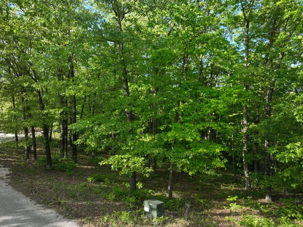 Lot 8 Buckskin Ridge, Highlandville, MO 65669