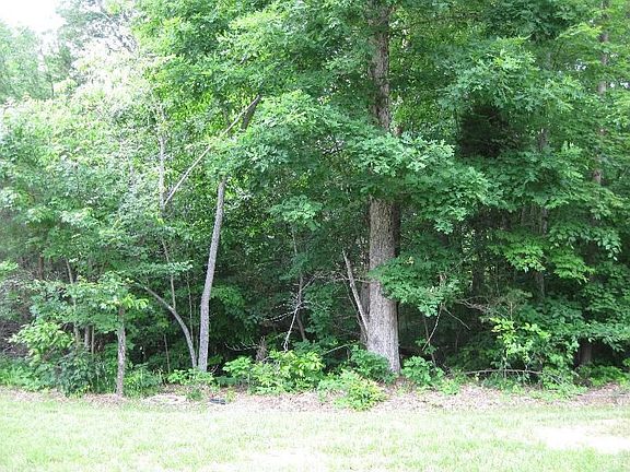 2nd image of 202 Coves End Ct