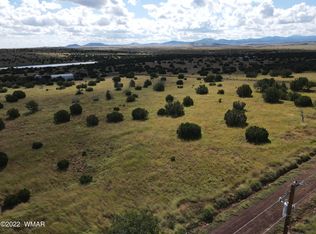 79 County Rd, Concho, AZ 85924