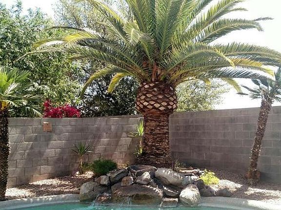 Back of the pool