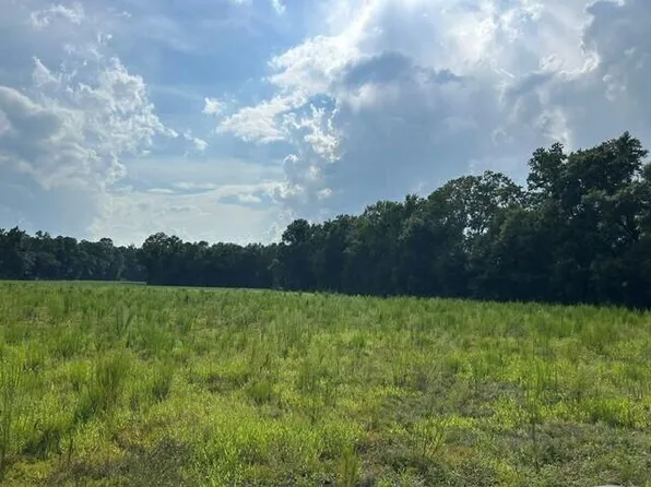 1 Seven Mile Rd, Harleyville, SC 29448