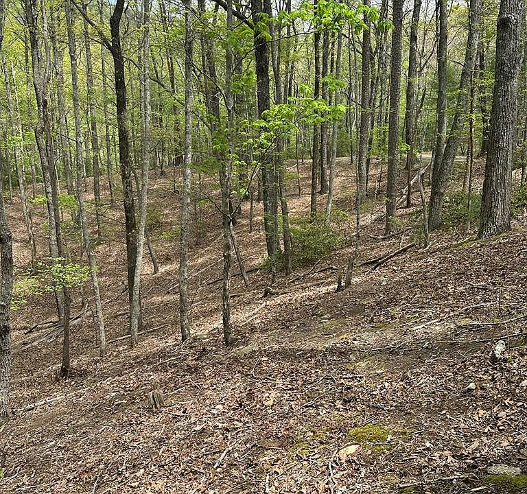 1st image of LOT B87 Laurel Rdg