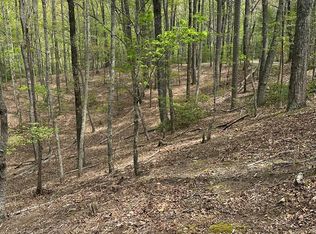 LOT B87 Laurel Rdg, Morganton, GA 30560
