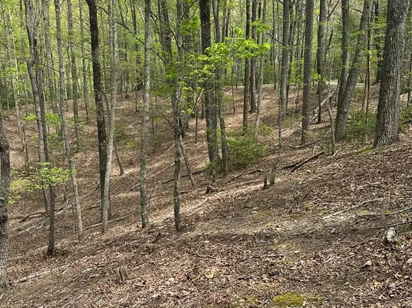 LOT B87 Laurel Rdg, Morganton, GA 30560