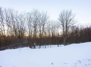 170 Frostline Ct, Canaan Valley, WV 26260