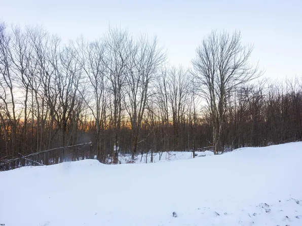 170 Frostline Ct, Canaan Valley, WV 26260