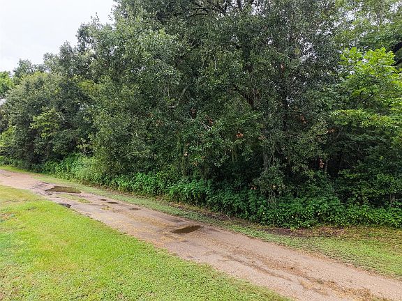 2nd image of 0 Pine Rd