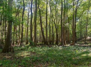 0 Spring Hill Road, Scotland Neck, NC 27874