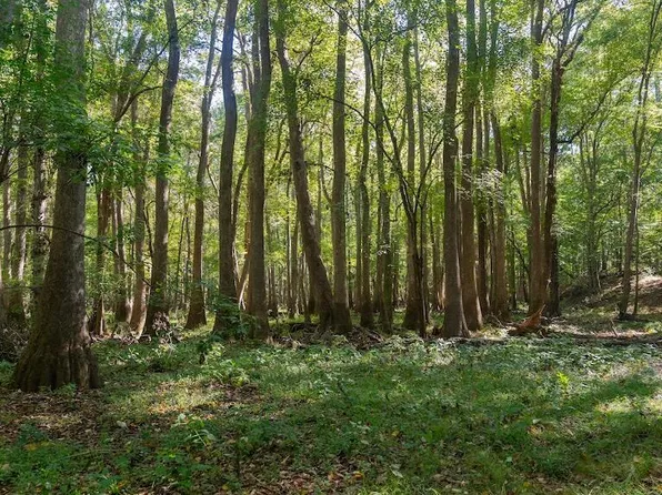 0 Spring Hill Road, Scotland Neck, NC 27874
