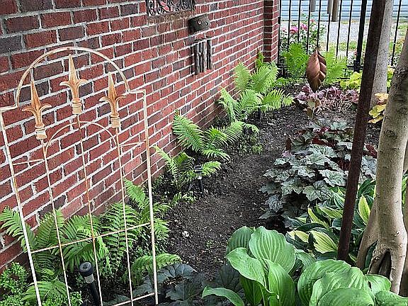 Shade garden