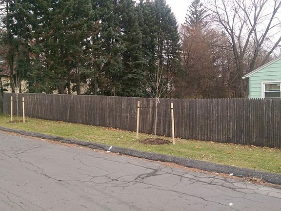 2nd image of 284 Mountainview Ave