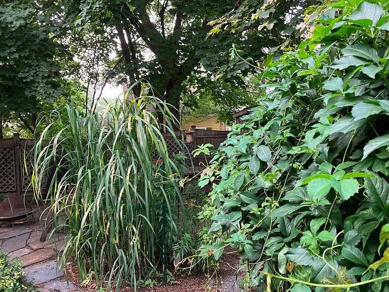 Side Yard /Garden