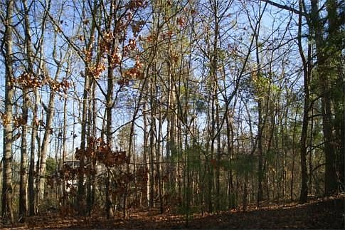 2nd image of 328 Carola Ln
