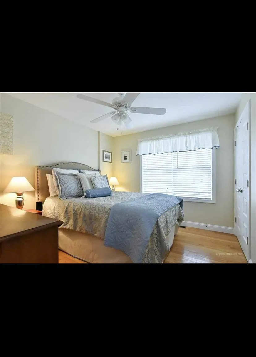 17 Meadowrue Trl — Photo 4