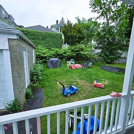 Common back yard