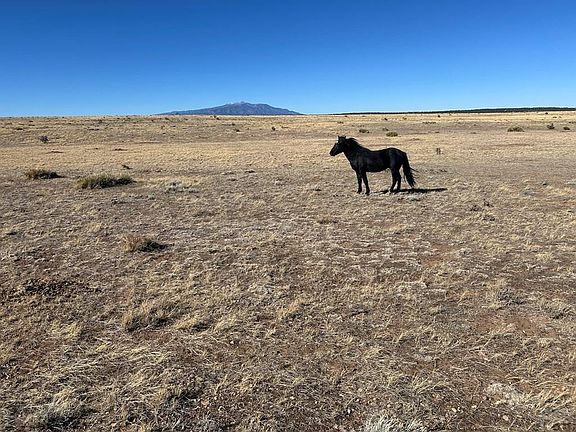 3rd image of LOT-75A River Ridge Rnch