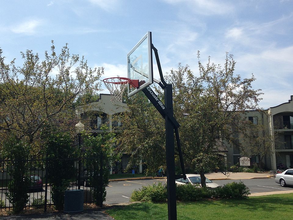 Basletball Court