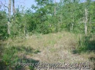 15109 Gonzo Rd, Weeki Wachee, FL 34614