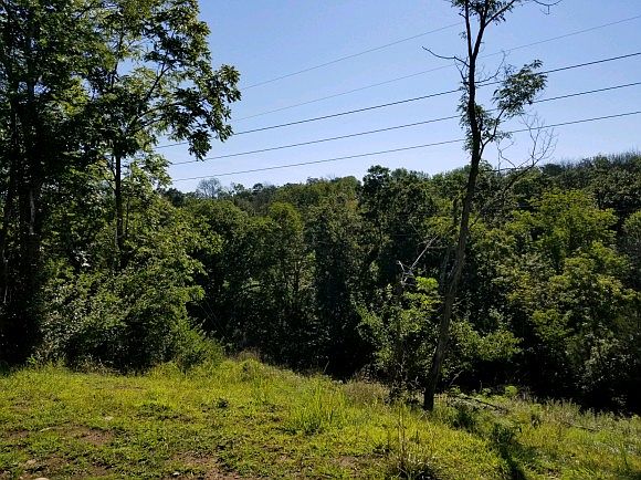 1st image of 9910 Cedarwood Ln