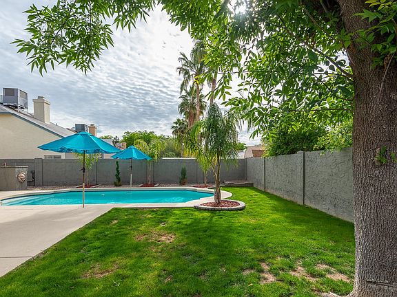 Backyard_2mls