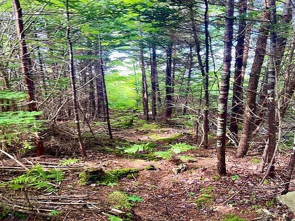 5th image of LOT 1 Sandy Point Rd