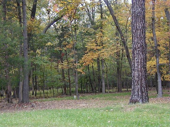 Front Yard in Autumn