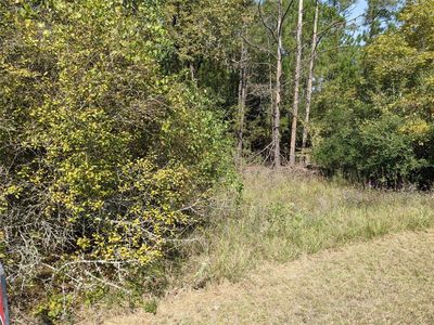 Lakeside Dr, Huntsville, TX, 77320