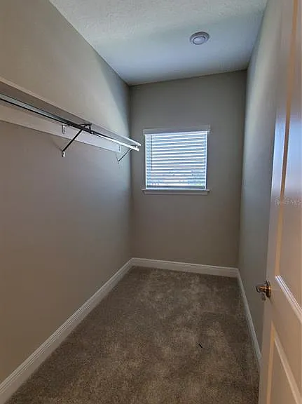 7361 Alpine Butterfly Ln — Photo 9