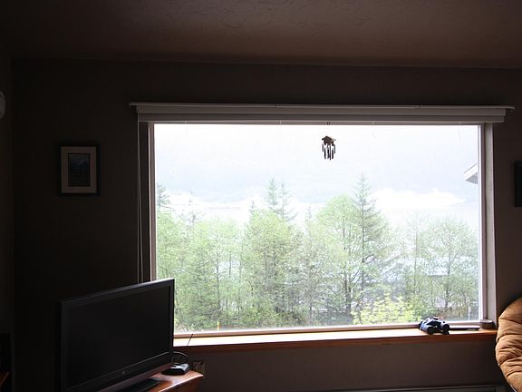 Living Room Window