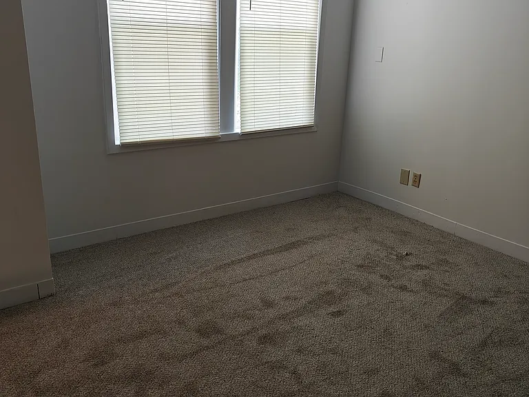217 Muse St #402 — Photo 15