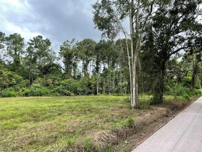 Pankhurst None, Kinder, LA, 70648