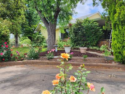 8180 Mount Aukum Rd, Somerset, CA, 95684