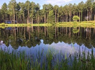 576 Hamilton Rd, Carthage, MS 39051