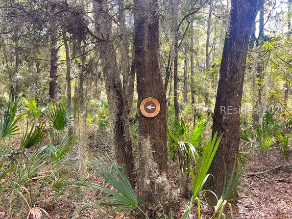 1 Rodeo Dr, Daufuskie Island, SC 29915