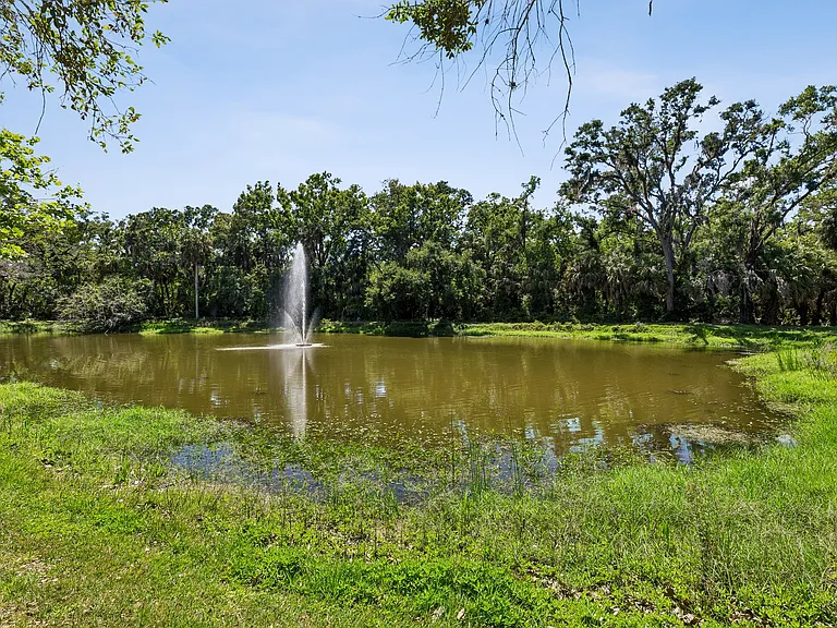 The Preserve at Westchase — Photo 36