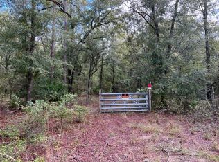 247 NW Oakland Rd, Mayo, FL 32066