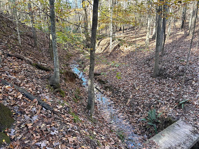 6970 Heard Rd — Photo 4