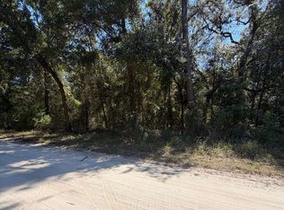 0 NE Gold Dust Rd, Branford, FL 32008