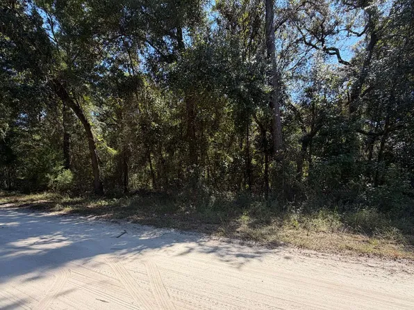 0 NE Gold Dust Rd, Branford, FL 32008