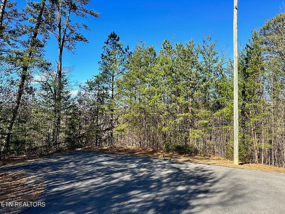 2nd image of Dove Wing Way