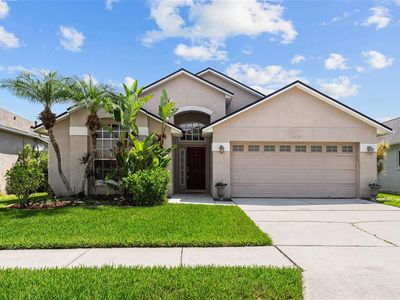 14339 Moon Flower Dr, Tampa, FL, 33626