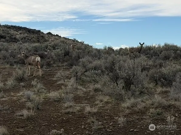 0 Stirrup Pl, Ephrata, WA 98823